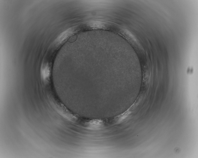 X0000093370124200711011236