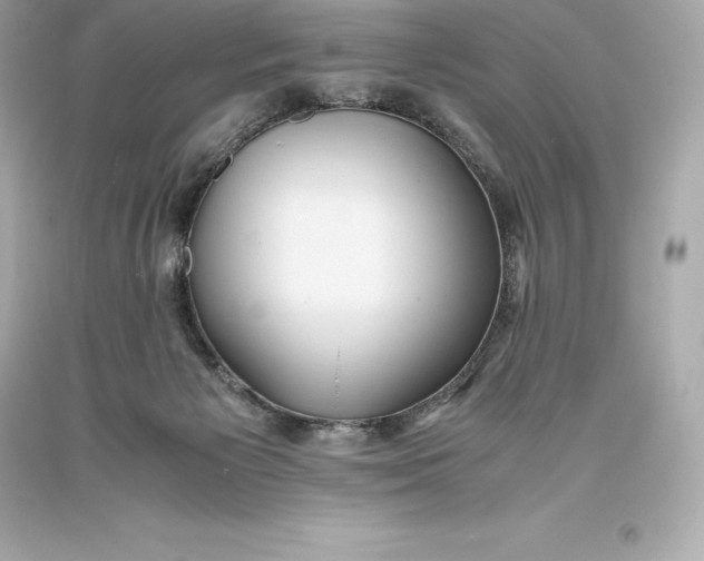 X0000093370125200711011236