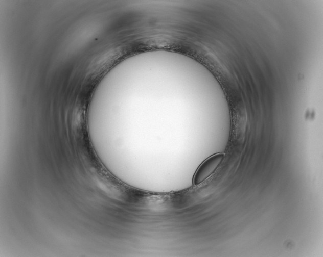 X0000093370126200711011236