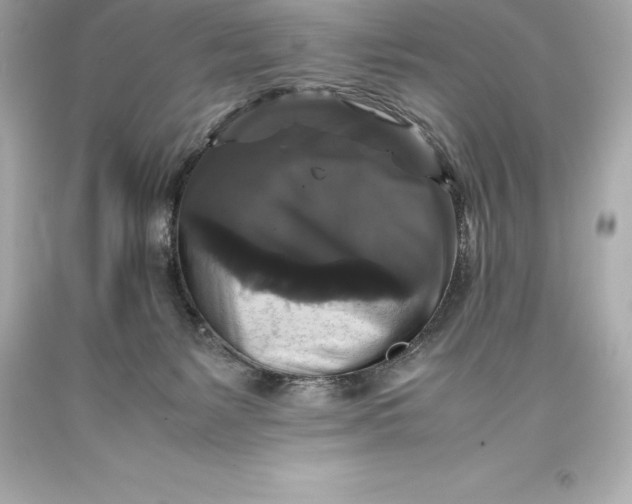 X0000093370127200711011236