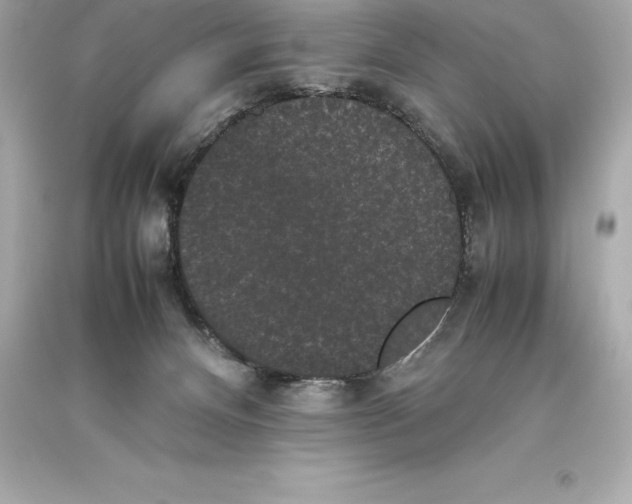 X0000093370128200711011236