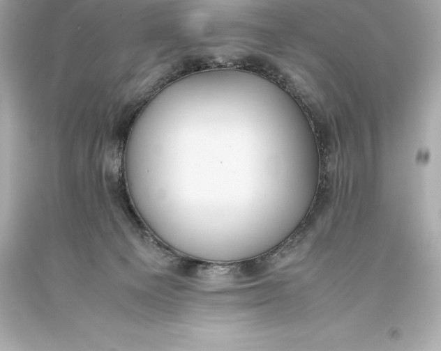 X0000093370129200711011236
