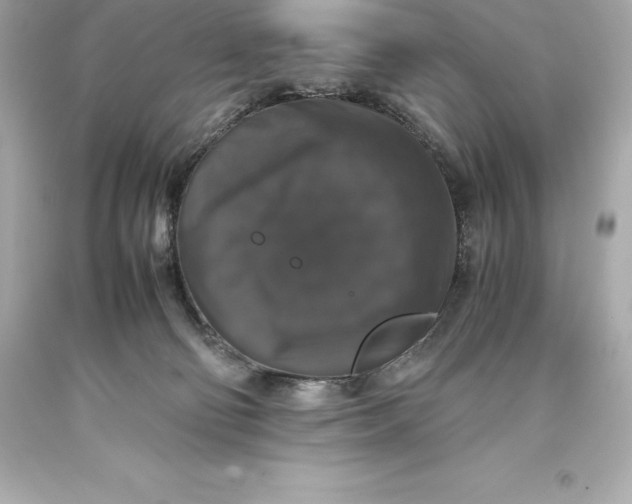 X0000093370130200711011236