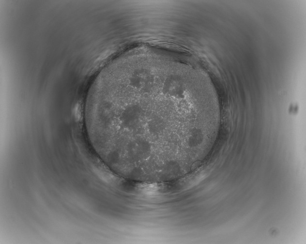 X0000093370131200711011236