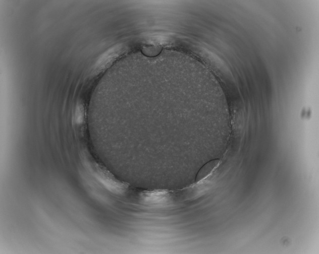 X0000093370132200711011236