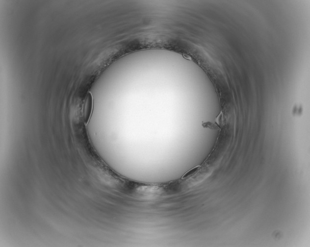 X0000093370133200711011236
