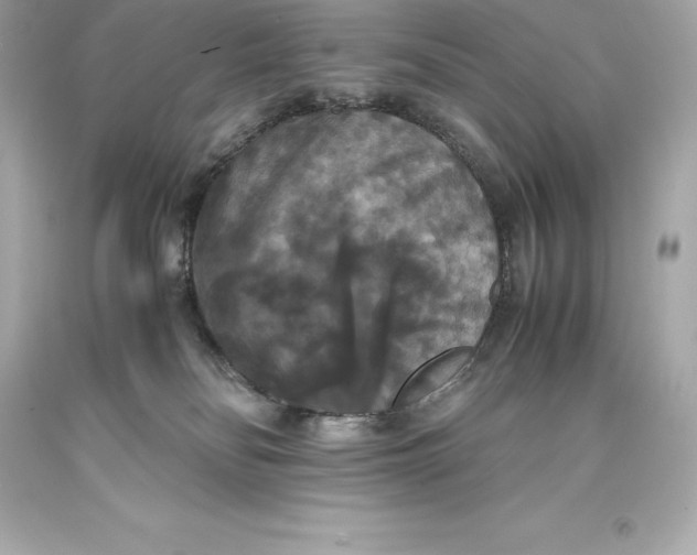 X0000093370134200711011236