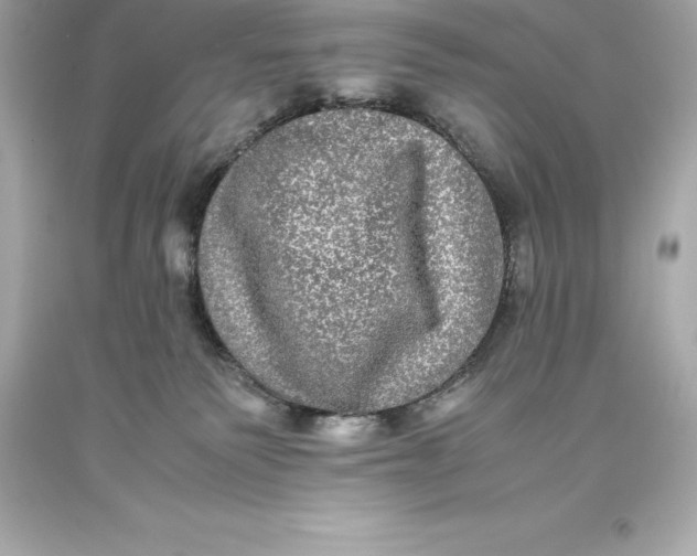 X0000093370135200711011236