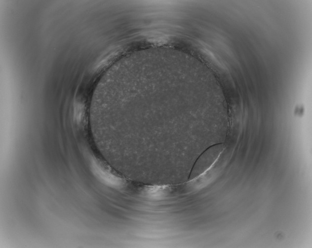 X0000093370136200711011236