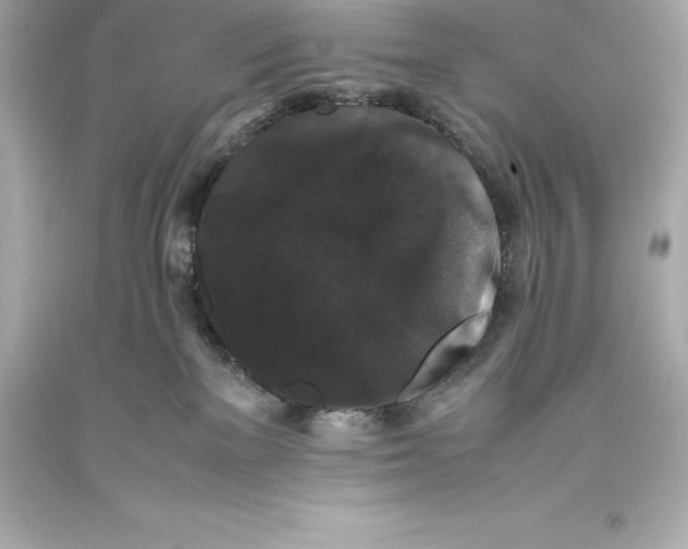 X0000093370137200711011236