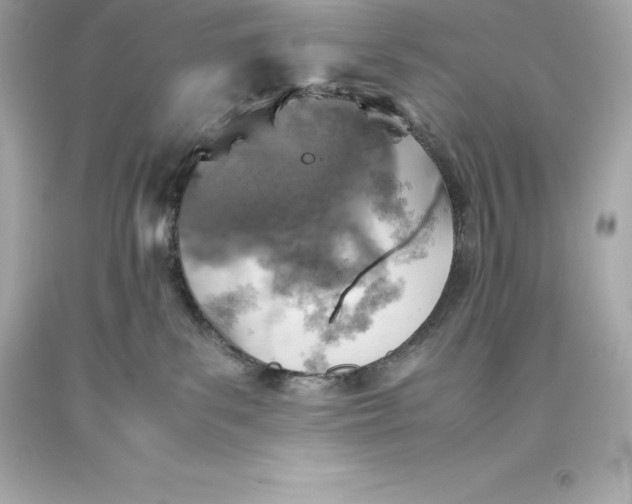 X0000093370139200711011236