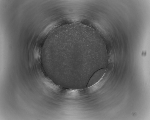 X0000093370140200711011236