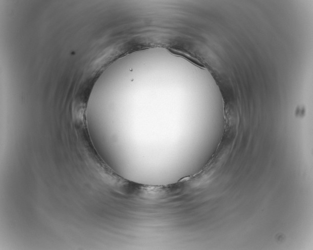 X0000093370141200711011236