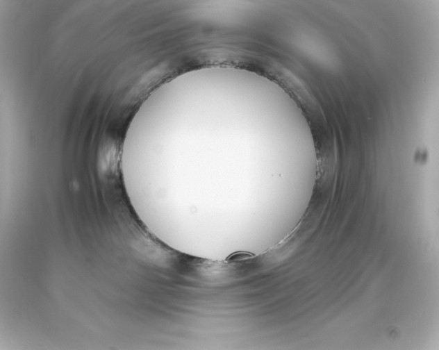 X0000093370142200711011236