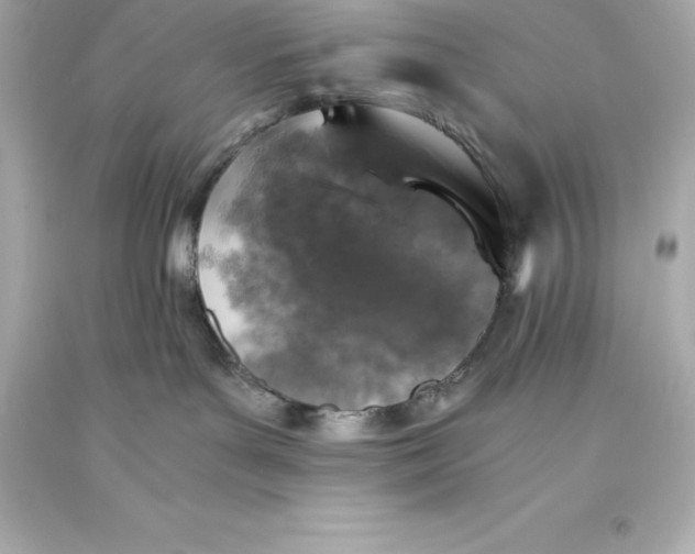 X0000093370143200711011236