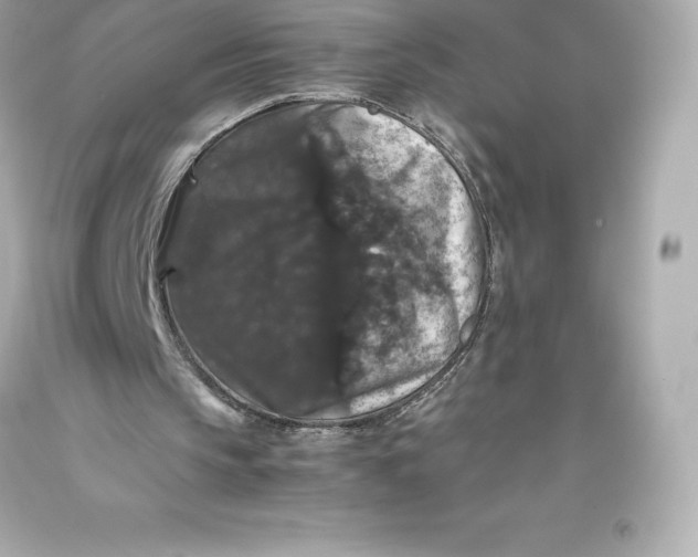 X0000093370145200711011235