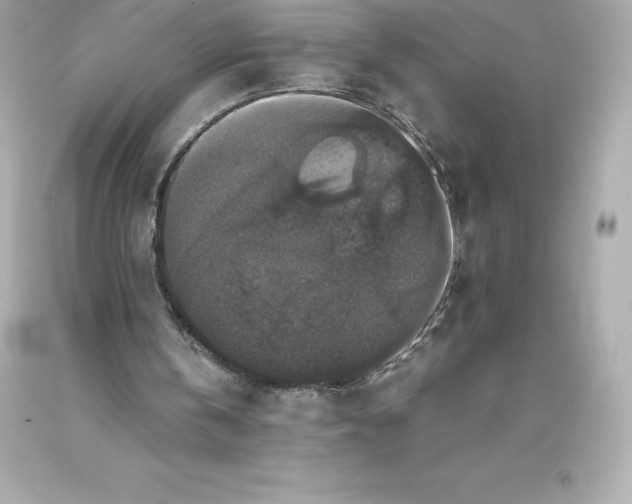 X0000093370146200711011235