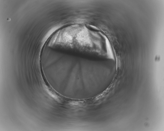 X0000093370147200711011235