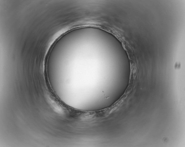 X0000093370148200711011235