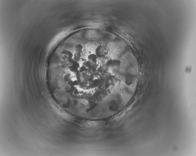 X0000093370149200711011235