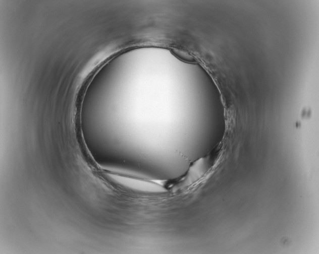 X0000093370150200711011236