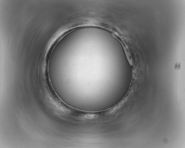 X0000093370152200711011236