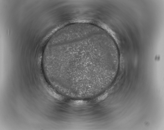 X0000093370153200711011236