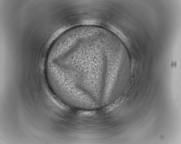 X0000093370155200711011236
