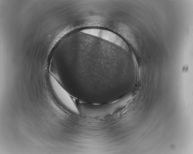 X0000093370156200711011236