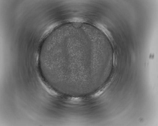 X0000093370157200711011236