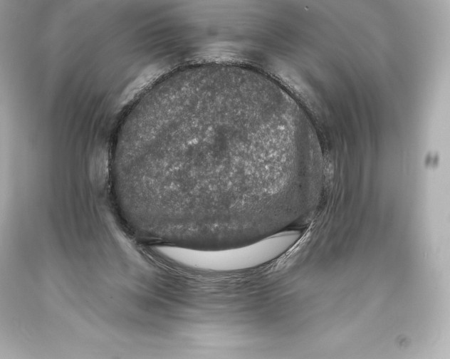 X0000093370158200711011236