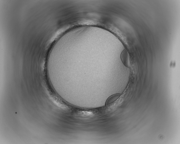 X0000093370159200711011236