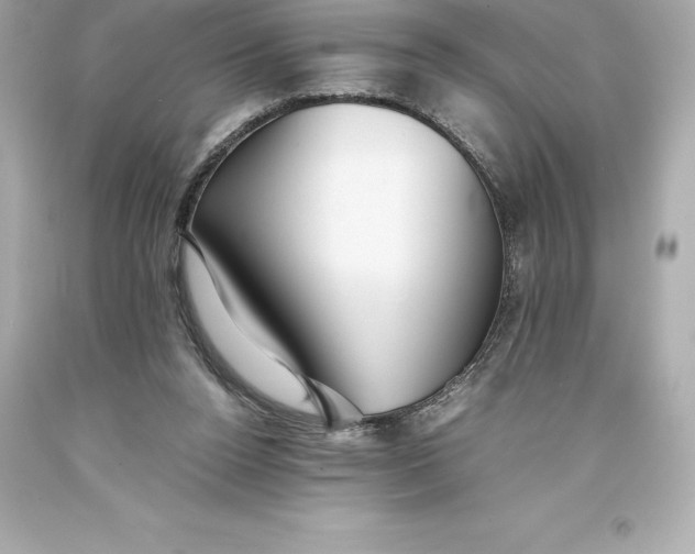 X0000093370160200711011236