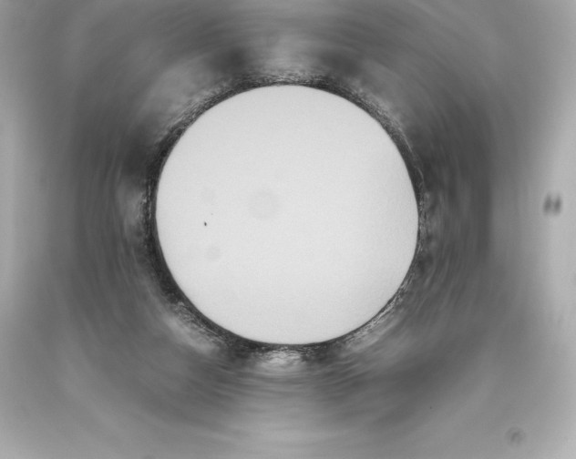 X0000093370162200711011236