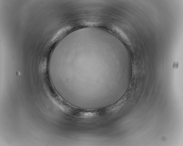X0000093370163200711011236