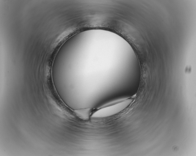 X0000093370164200711011236