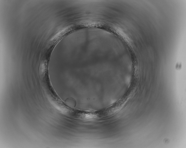 X0000093370165200711011236