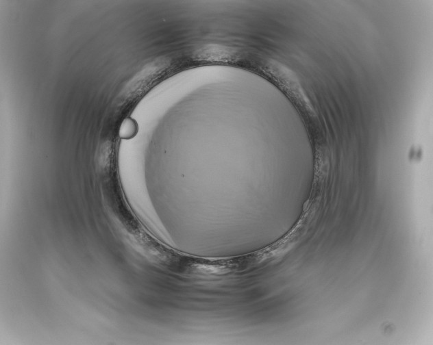 X0000093370167200711011236