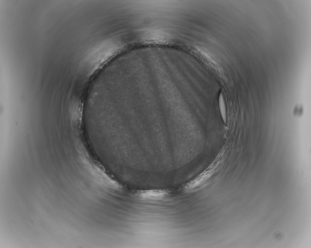 X0000093370168200711011236