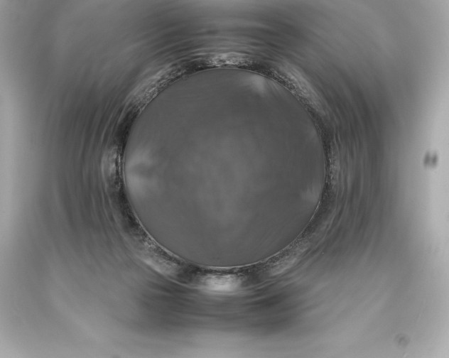 X0000093370169200711011236