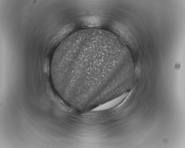 X0000093370170200711011236