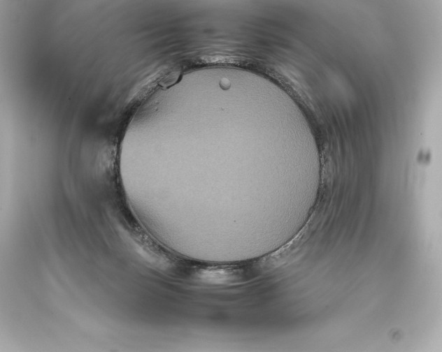 X0000093370171200711011236