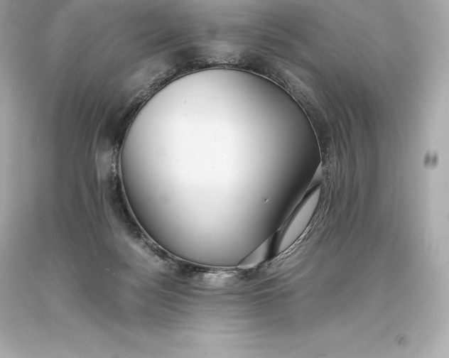 X0000093370172200711011236