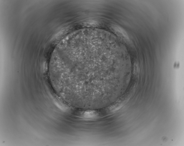 X0000093370173200711011236