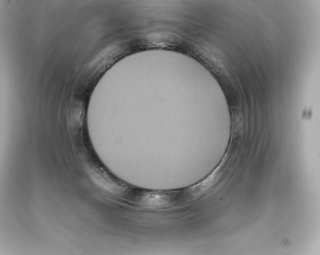 X0000093370174200711011236