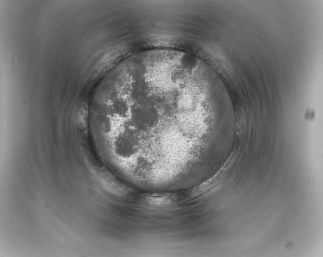 X0000093370175200711011236