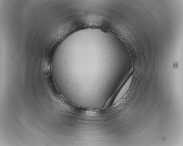 X0000093370176200711011236