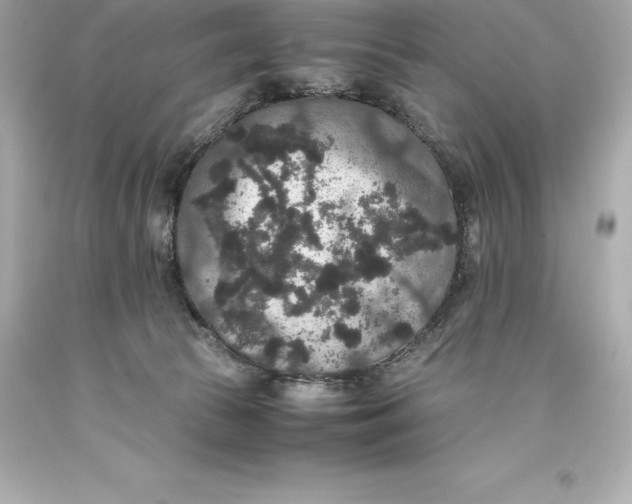 X0000093370177200711011236