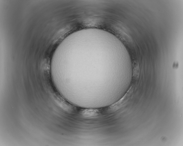 X0000093370179200711011236