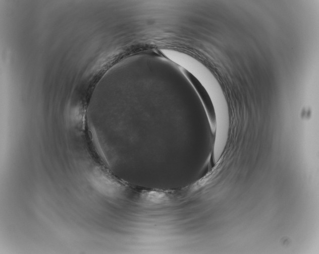 X0000093370180200711011236